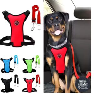 harnais de sécurité pour chien en voiture