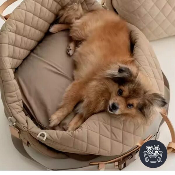 Siège auto de luxe pour chien – Image 3