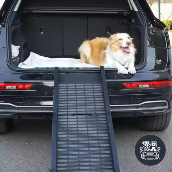 rampe pour chien