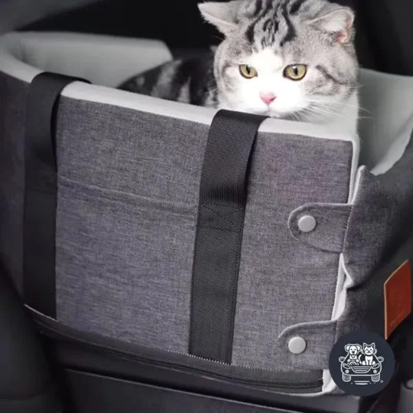 siège de voiture portable pour chat